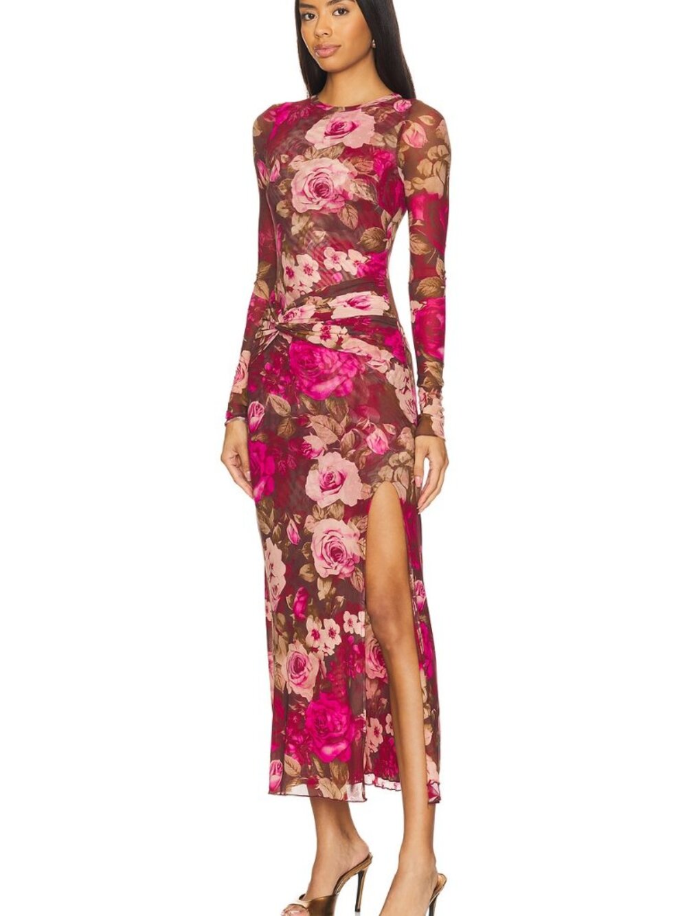Free People Long Sleeve Floral Mesh Maxi Dress in Pink and Brown